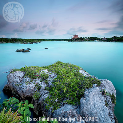 Tulum