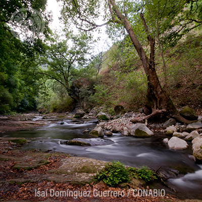 Sierra Gorda