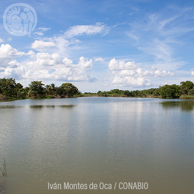 Laguna de terminos