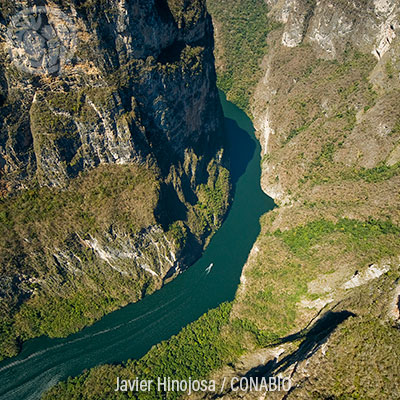 Cañon del sumidero