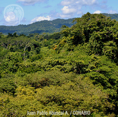 Montes Azules