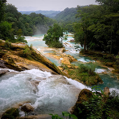 Ecosistemas de México | Biodiversidad Mexicana