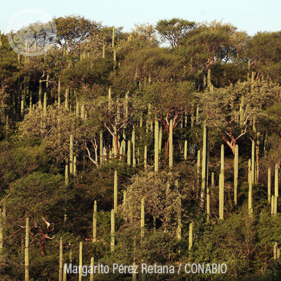 Reserva de la Biosfera