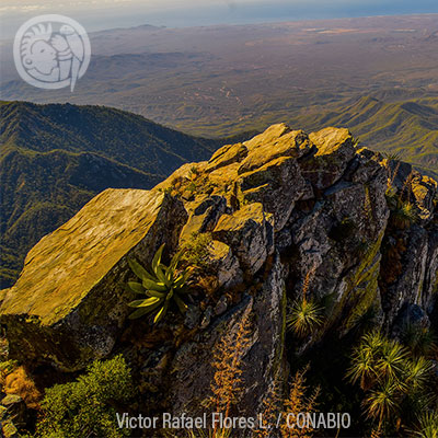 Sierra La Laguna