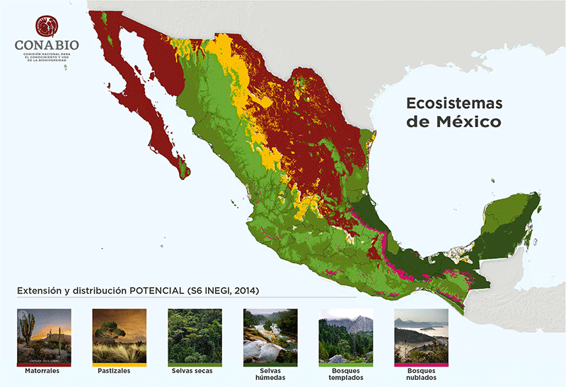 Top 53+ imagen ecosistemas de mexico dibujos