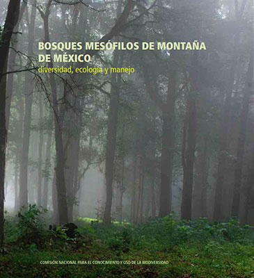 Bosque Mesófilo