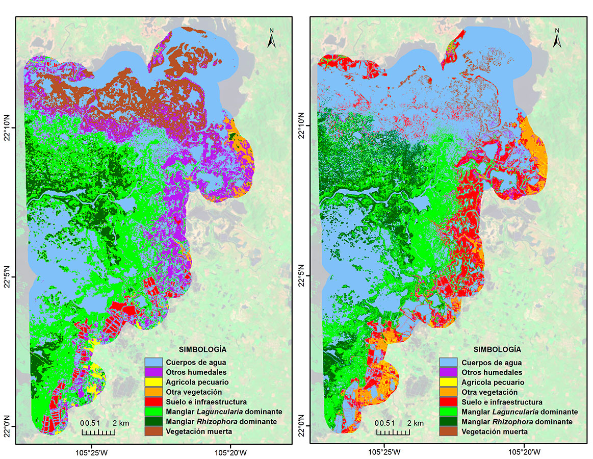 Distribución de Rhizophora mangle