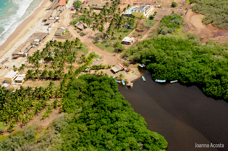 Manglares de Jalisco