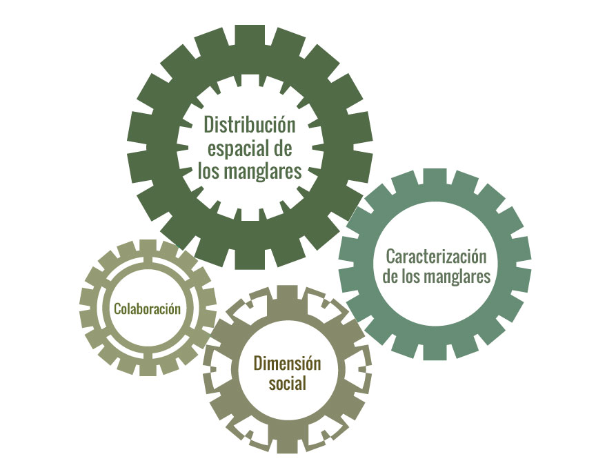 Componentes SMMM