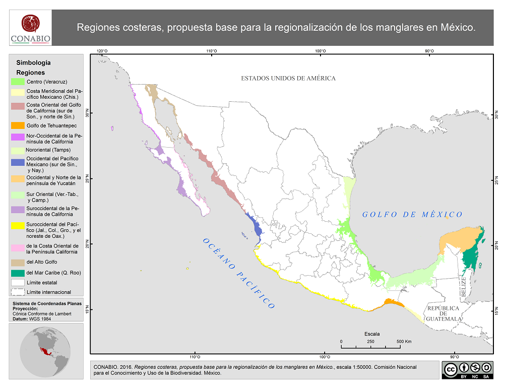 Propuesta base para la regionalización de manglares