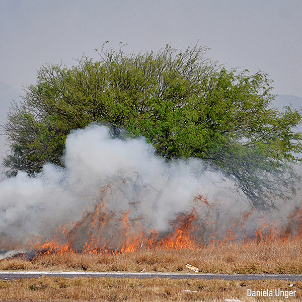 Incendio