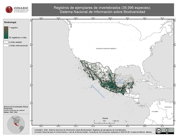 mapa invertebrados