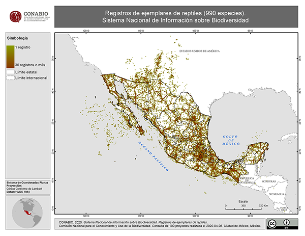 mapa reptiles