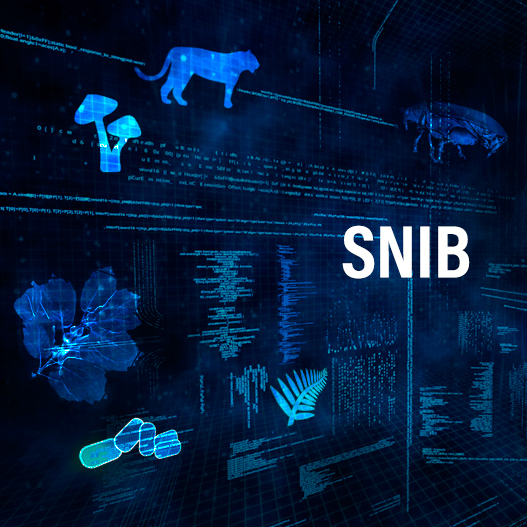 SNIB