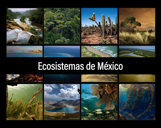 Ecosistemas de México
