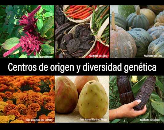 Centros de origen y diversificación