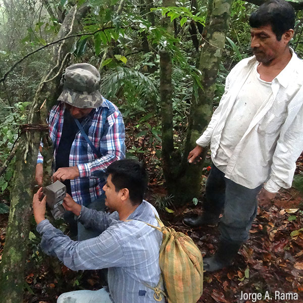 Sistema Nacional de Monitoreo de la Biodiversidad