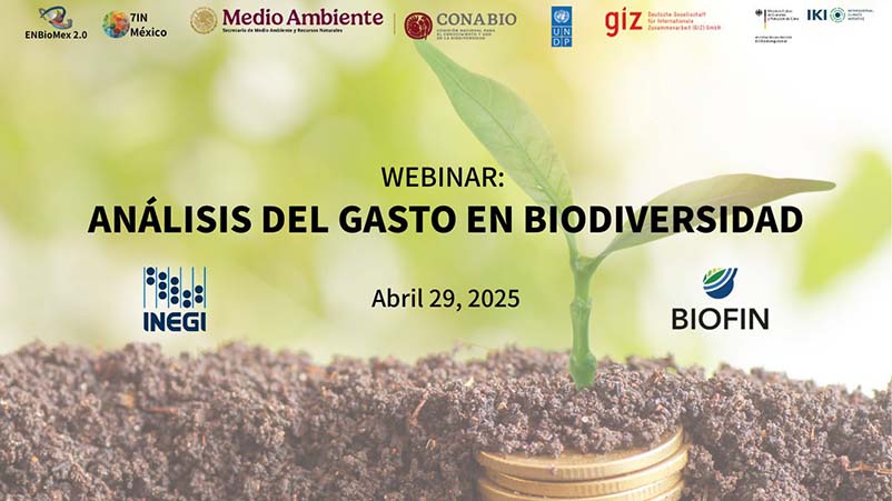 Webinar