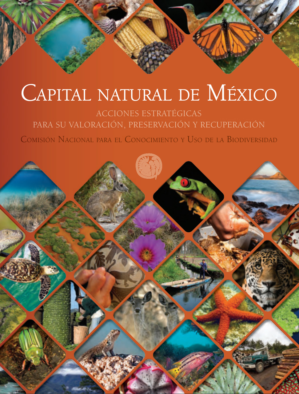 portada de la síntesis de capital natural de méxico