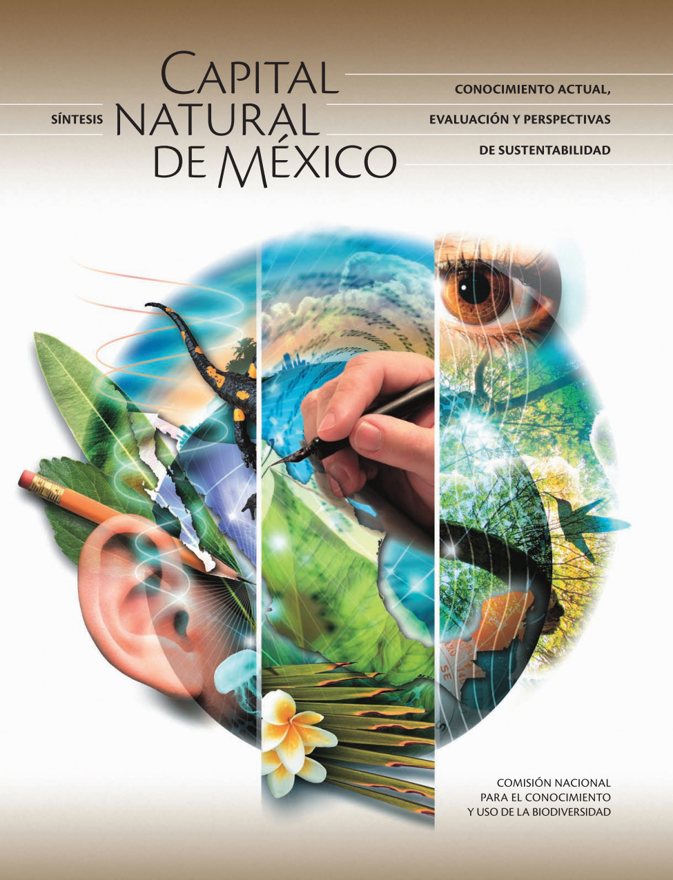 portada de la síntesis de capital natural de méxico