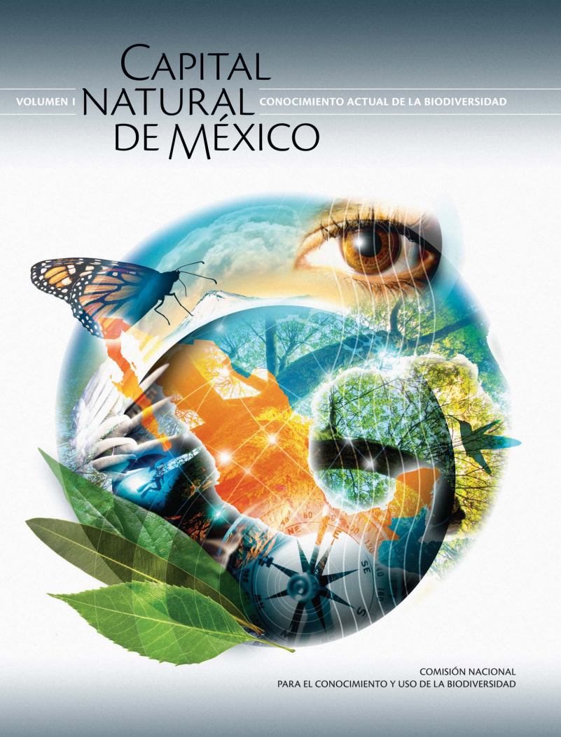 portada de la síntesis de capital natural de méxico