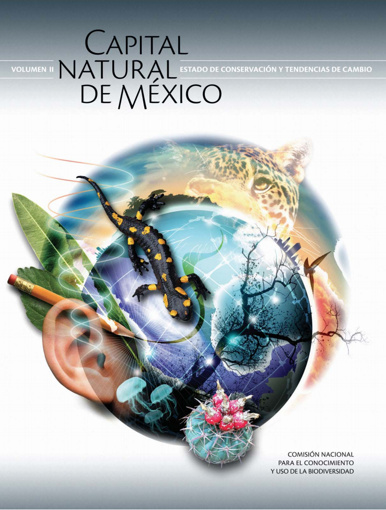 portada de la síntesis de capital natural de méxico