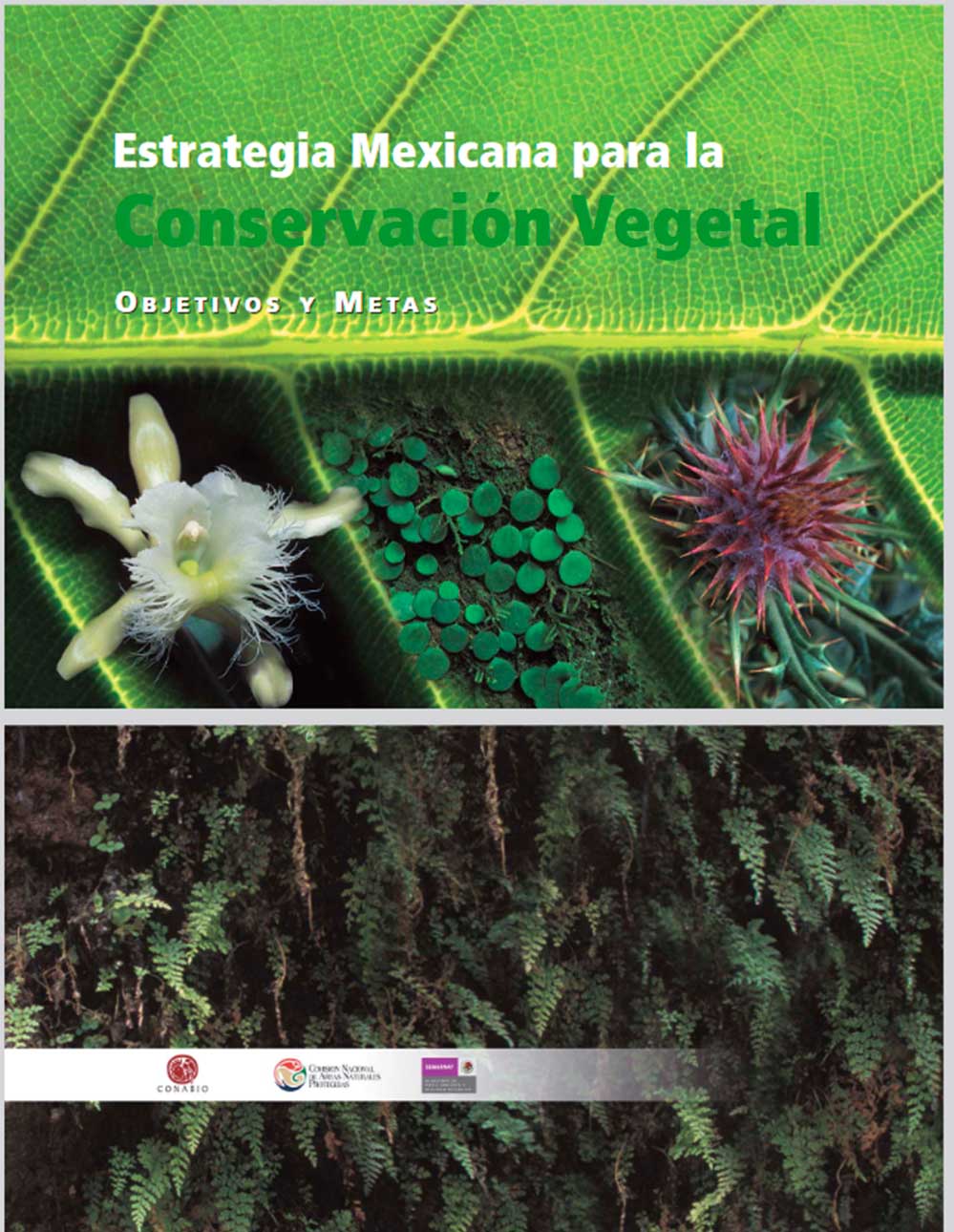 portada de libro