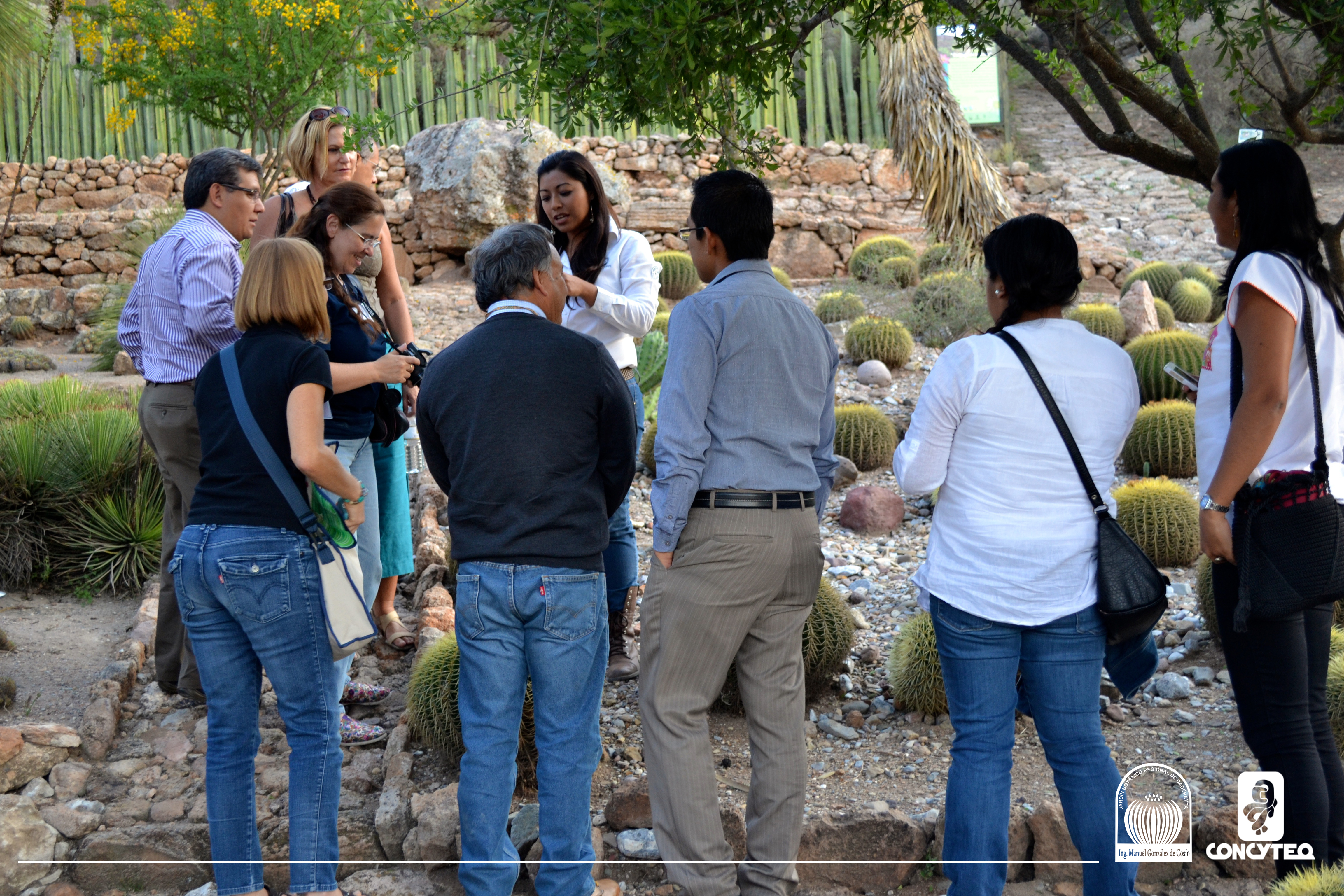 Primera Reunión del Comité Coordinador de Implementación de la Estrategia Mexicana para la Conservación Vegetal (CCI-EMCV)