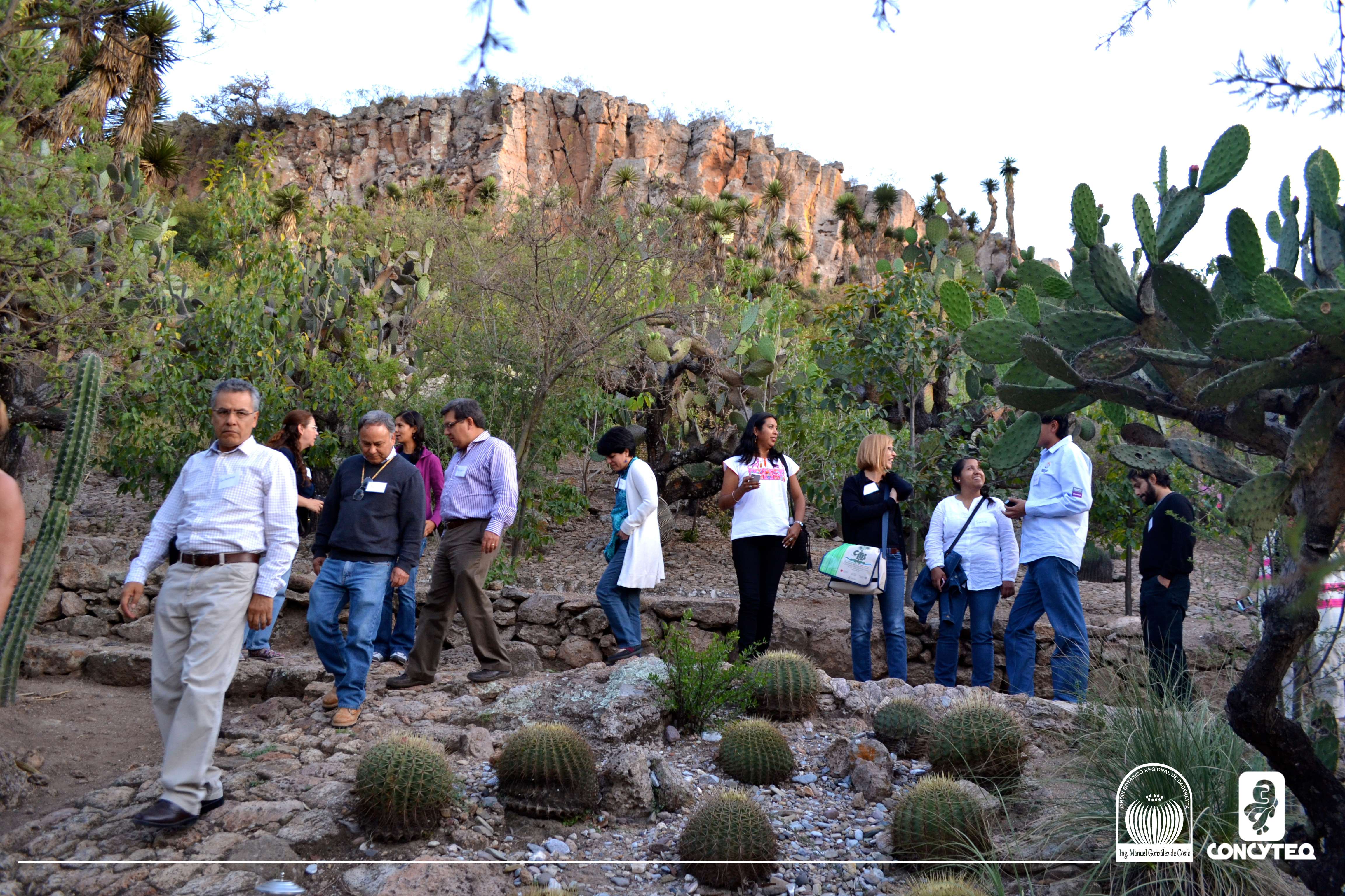 Primera Reunión del Comité Coordinador de Implementación de la Estrategia Mexicana para la Conservación Vegetal (CCI-EMCV)