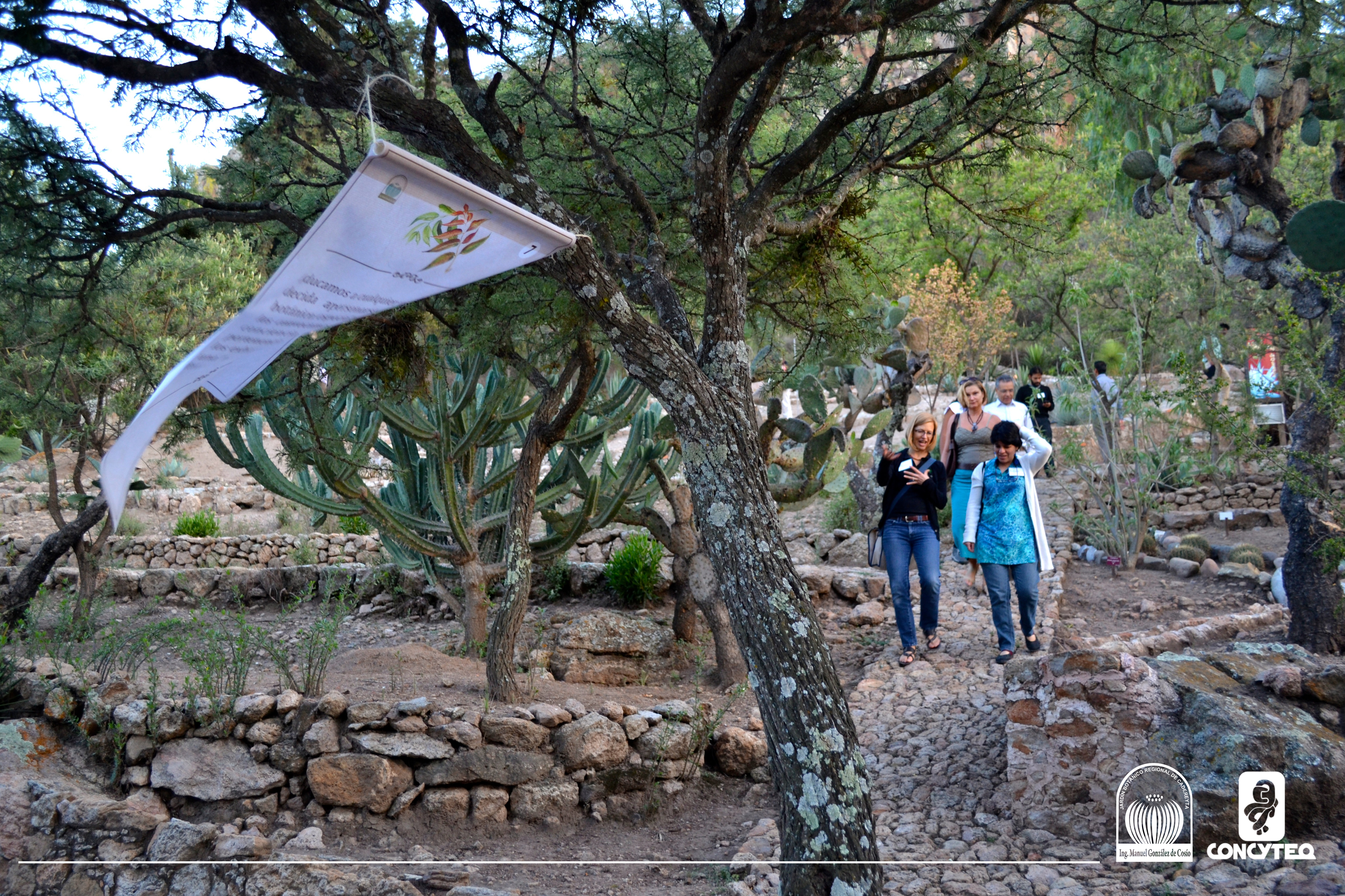 Primera Reunión del Comité Coordinador de Implementación de la Estrategia Mexicana para la Conservación Vegetal (CCI-EMCV)