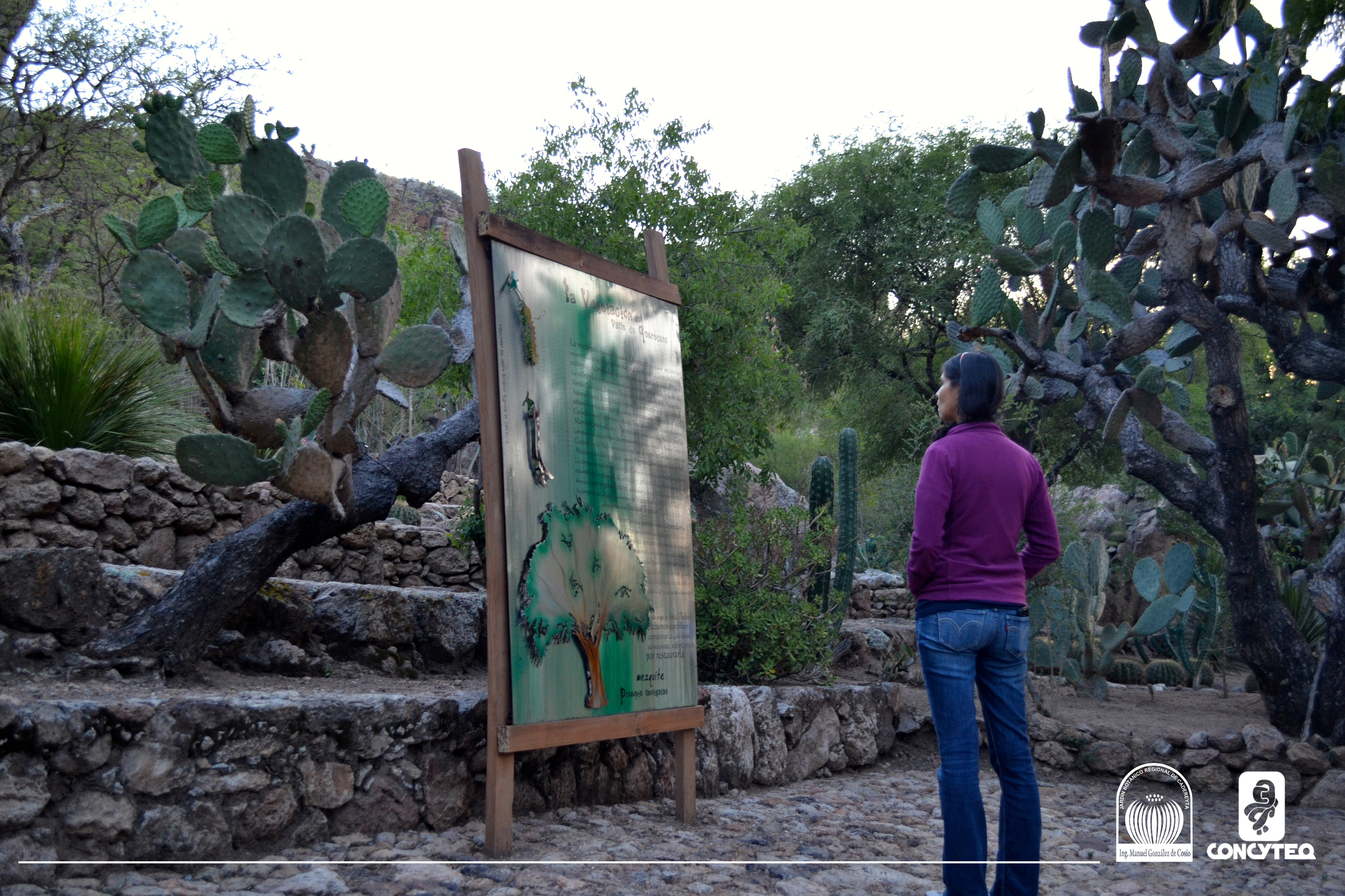 Primera Reunión del Comité Coordinador de Implementación de la Estrategia Mexicana para la Conservación Vegetal (CCI-EMCV)