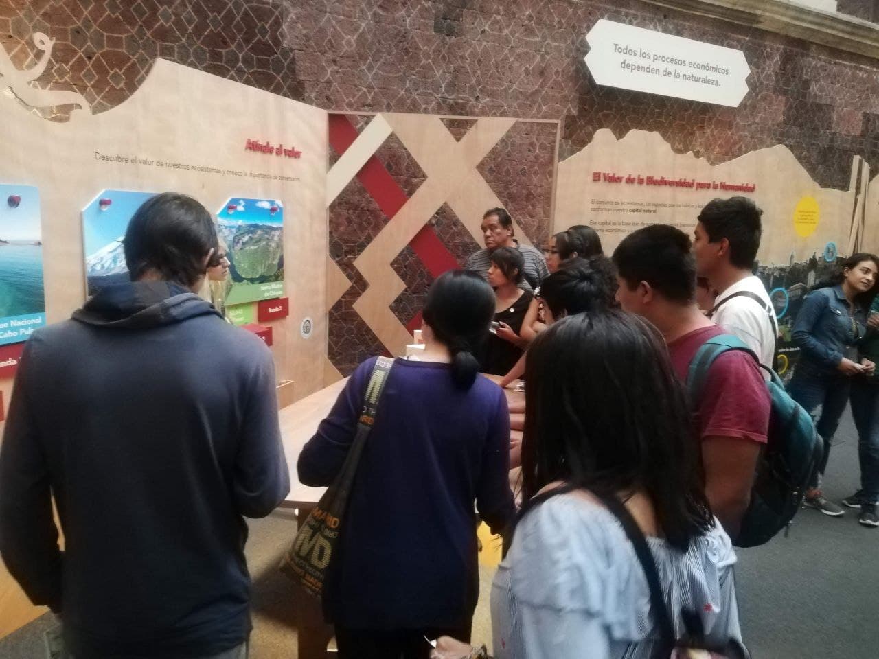 Exposición temporal Ecos de la Tierra 