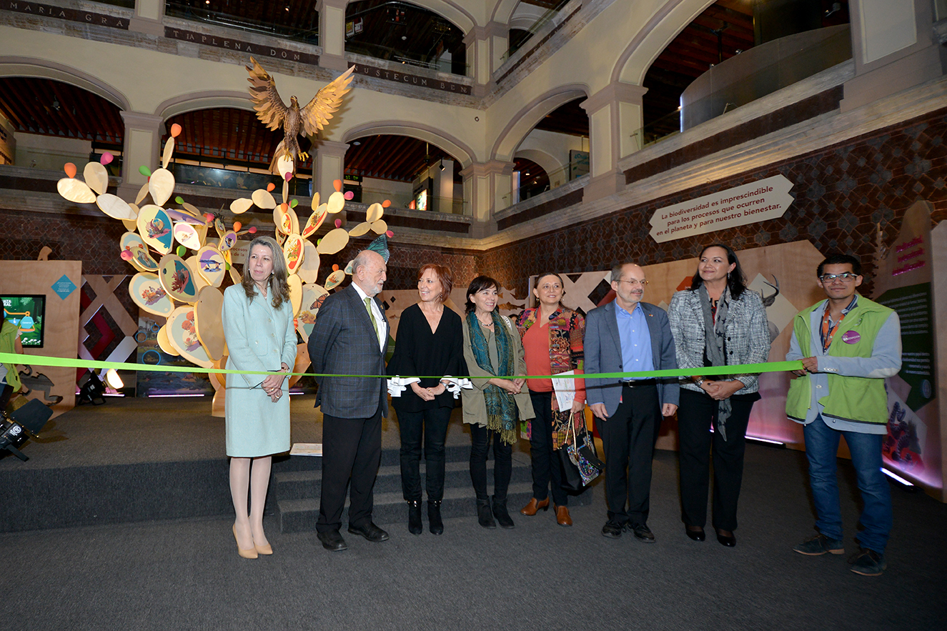 Exposición temporal Ecos de la Tierra 