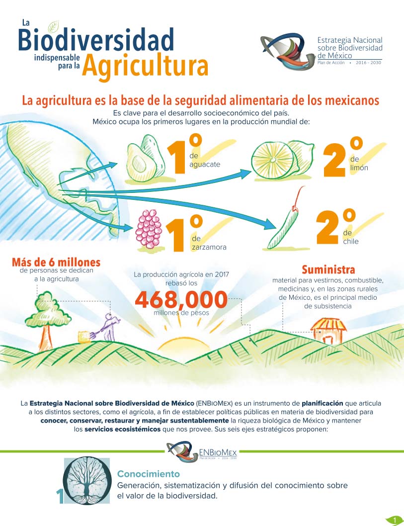 portada Agricultura