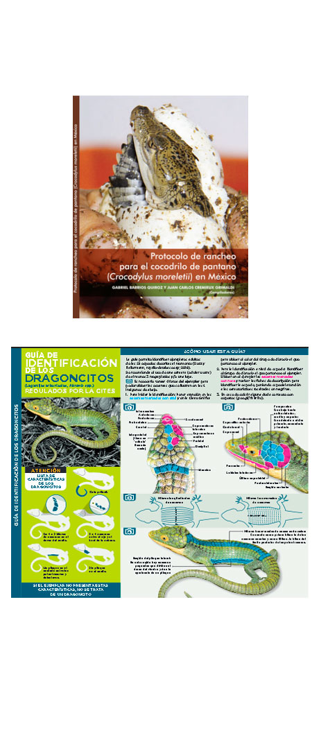 Guías de identificación AC-CITES