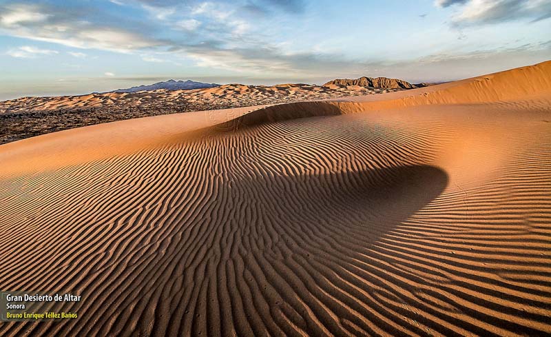 Diversidad biológica de las tierras áridas y subhúmedas