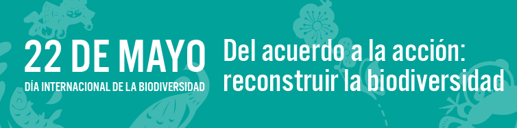 Día Internacional de la Diversidad Biológica