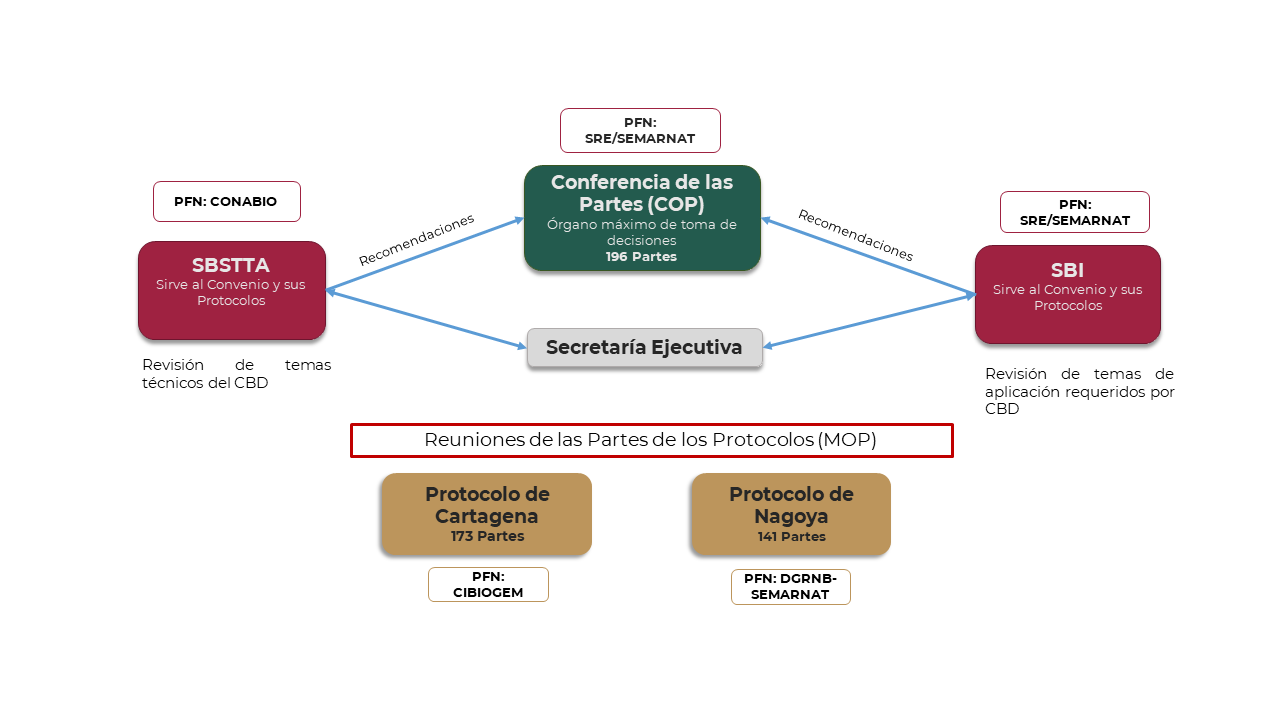 Convenio De La Diversidad Biologica Biodiversidad Mexicana