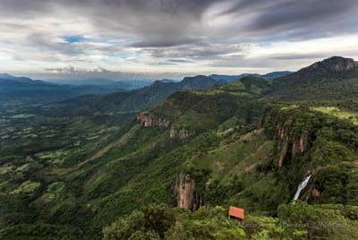 Diversidad biológica de las montañas