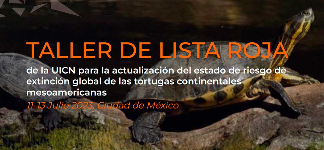 Taller de Lista Roja de la UICN para la actualización del estado de riesgo de extinción global de las tortugas continentales mesoamericanas