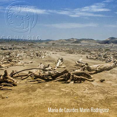 Cambio Climático y Biodiversidad