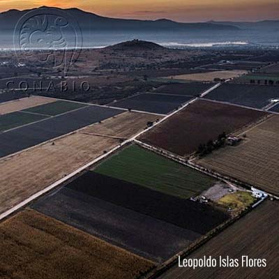 Biodiversidad para el Desarrollo