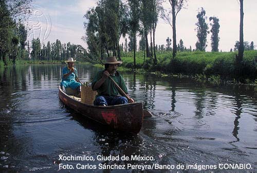 La biodiversidad en la Ciudad de México: Estudio de Estado | Biodiversidad  Mexicana