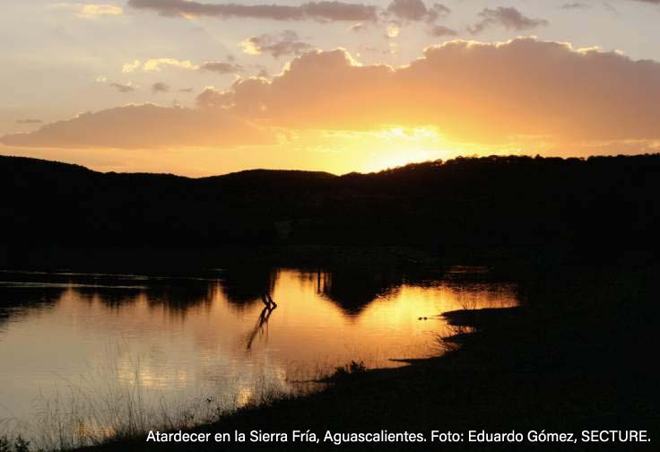 Aguascalientes