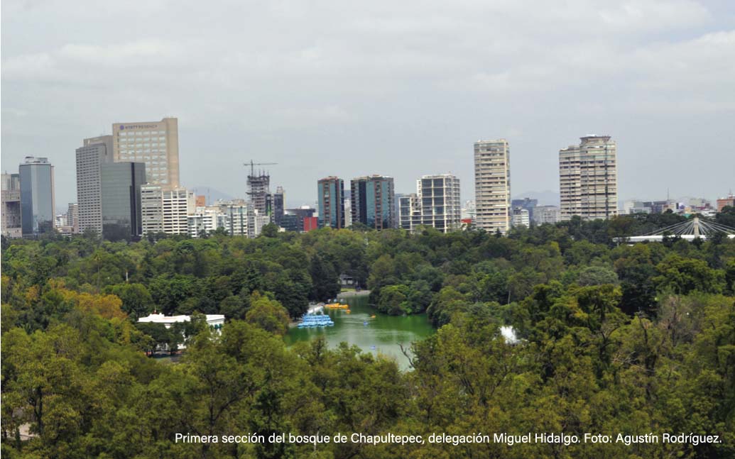 CDMX