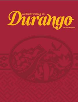 Durango