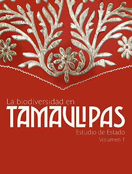 Tamaulipas