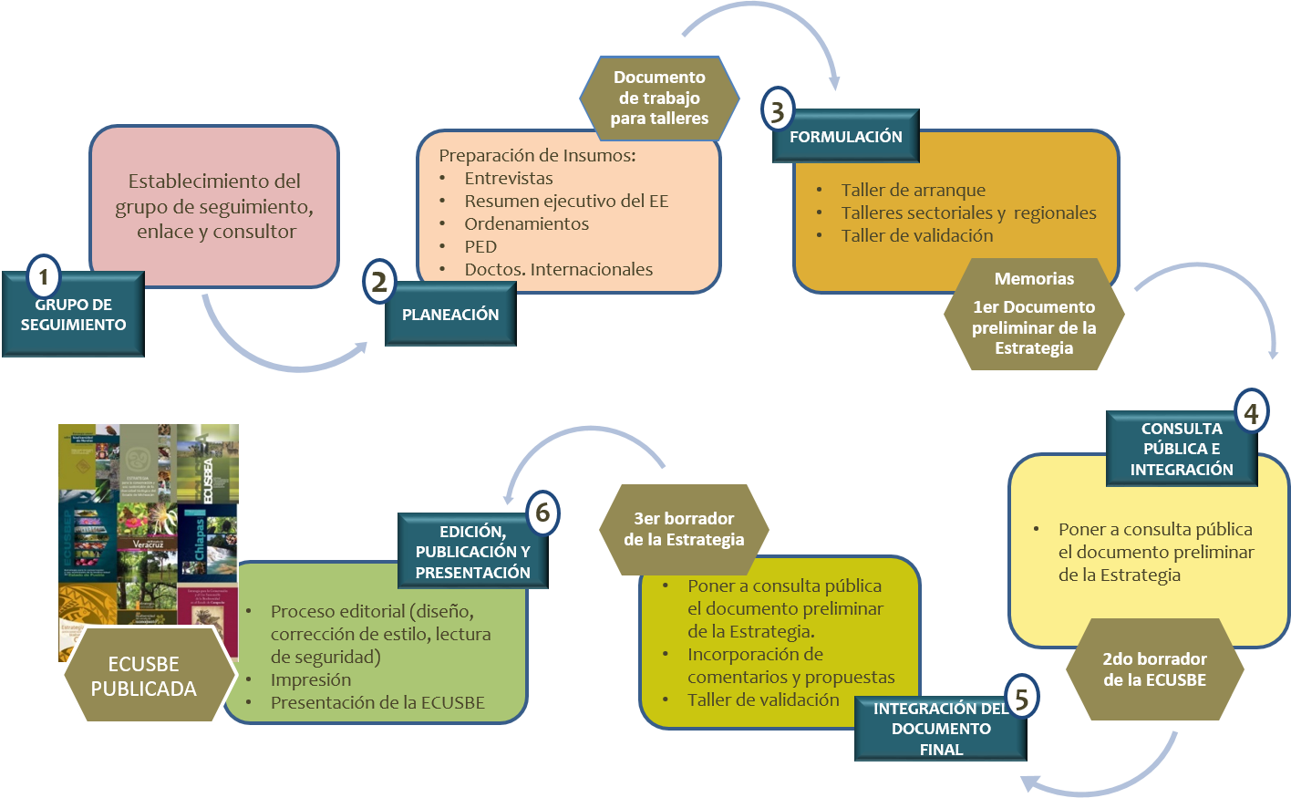 Proceso de elaboración de la Estrategia para la Conservación y el Uso sustentable de la Biodiversidad del Estado (ECUSBE)