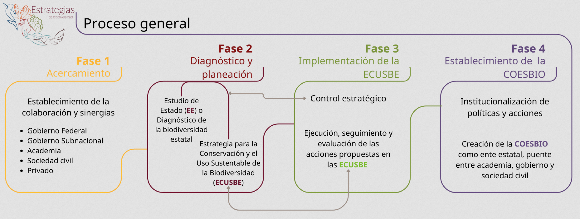 Proceso de la iniciativa de las Estrategias Estatales de Biodiversidad