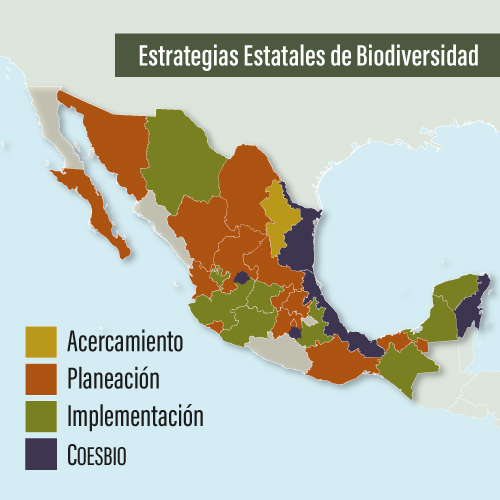 Estados en proceso (EEB)